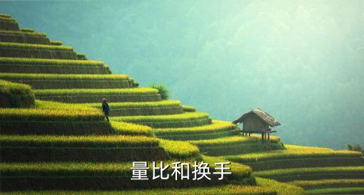 量比大小怎么看，求大家?guī)蛶兔φ?qǐng)問(wèn)股票中的量比指標(biāo)是怎么看的