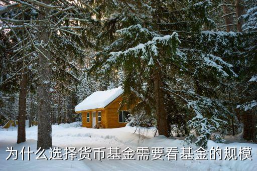 為什么選擇貨幣基金需要看基金的規(guī)模