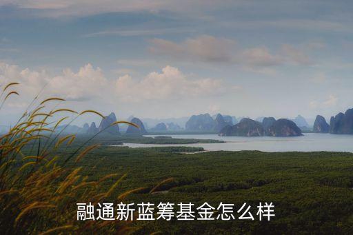融通新藍(lán)籌基金怎么樣