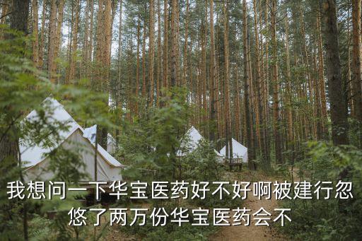 我想問一下華寶醫(yī)藥好不好啊被建行忽悠了兩萬份華寶醫(yī)藥會不