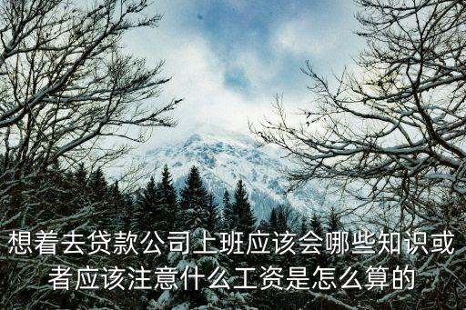 想著去貸款公司上班應(yīng)該會(huì)哪些知識(shí)或者應(yīng)該注意什么工資是怎么算的