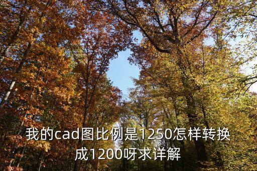 我的cad圖比例是1250怎樣轉(zhuǎn)換成1200呀求詳解