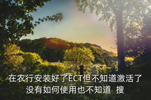 在農(nóng)行安裝好了ECT但不知道激活了沒有如何使用也不知道  搜