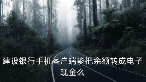 建行怎么轉(zhuǎn)電子現(xiàn)金，建設(shè)銀行手機客戶端能把余額轉(zhuǎn)成電子現(xiàn)金么
