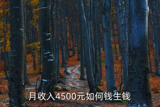 月收入4500元如何錢生錢
