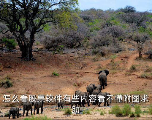 怎么看股票軟件有些內(nèi)容看不懂附圖求助