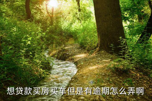 想貸款買房買車但是有逾期怎么弄啊