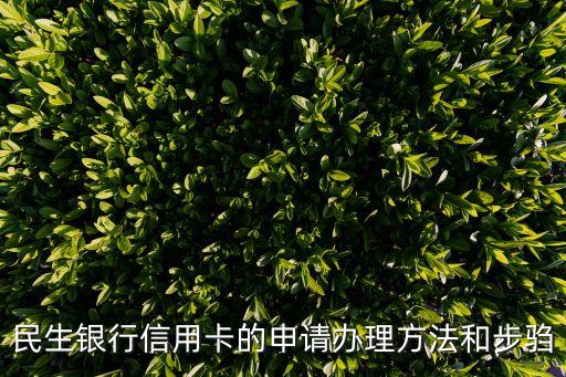民生銀行信用卡的申請(qǐng)辦理方法和步騶