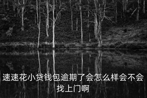 小貸逾期上門會怎么辦，大小貸催收上門怎么辦