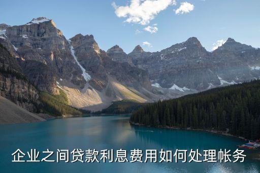 公司付貸款利息怎么做賬，企業(yè)之間貸款利息費(fèi)用如何處理帳務(wù)