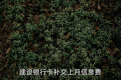 建設(shè)銀行卡補(bǔ)交上月信息費(fèi)