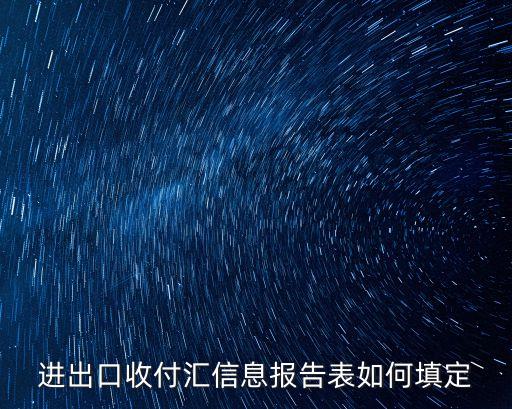 進(jìn)出口收付匯信息報(bào)告表如何填定