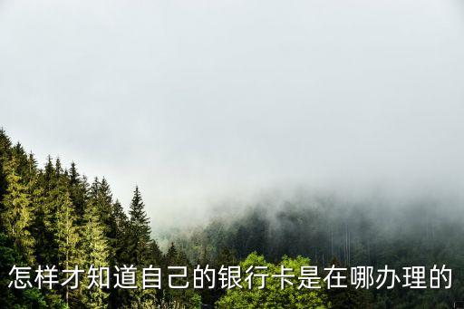 怎樣才知道自己的銀行卡是在哪辦理的