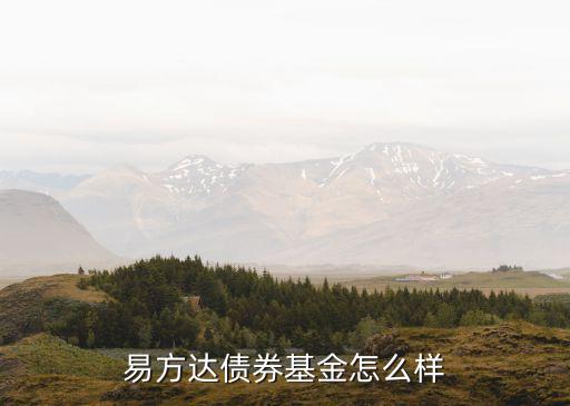 易方達110023怎么樣，易方達的基金 110022怎么樣 啊