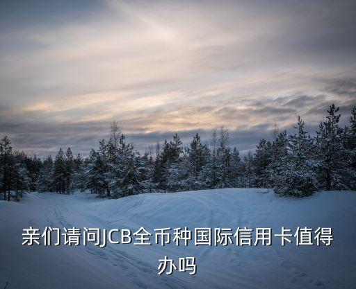 親們請(qǐng)問(wèn)JCB全幣種國(guó)際信用卡值得辦嗎