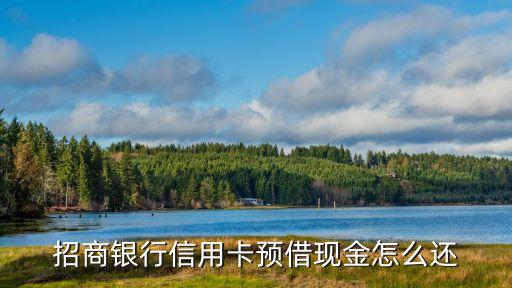 招商銀行信用卡預(yù)借現(xiàn)金怎么還
