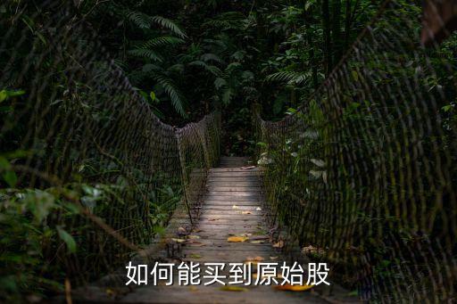 怎么能買(mǎi)到原始股，不好意思問(wèn)一下怎樣購(gòu)買(mǎi)原始股