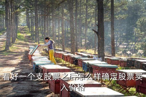 看好一個支股票之后怎么樣確定股票買入價格