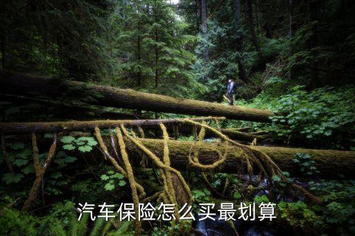 汽車保險(xiǎn)怎么買最劃算