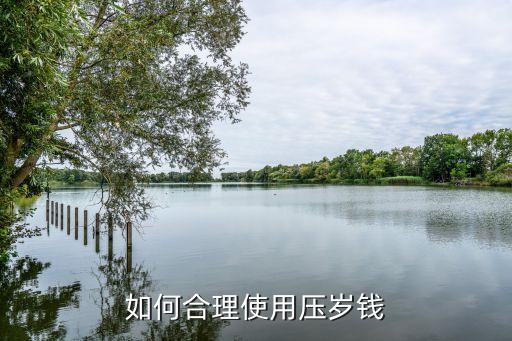 如何合理使用壓歲錢(qián)