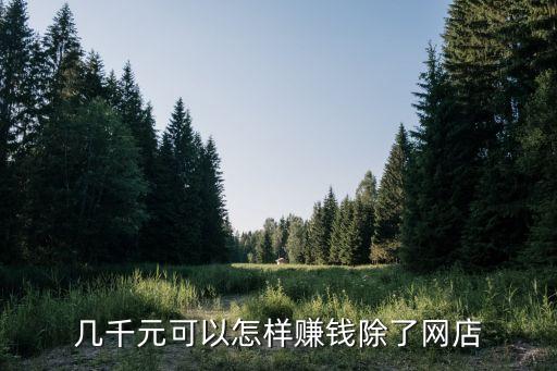 幾千元可以怎樣賺錢除了網(wǎng)店