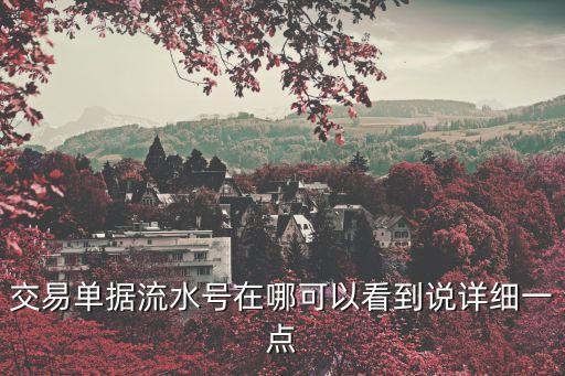 交易流水號(hào)怎么查詢，交易單據(jù)流水號(hào)在哪可以看到說(shuō)詳細(xì)一點(diǎn)