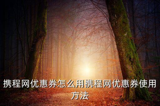 攜程網(wǎng)優(yōu)惠券怎么用攜程網(wǎng)優(yōu)惠券使用方法