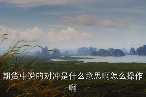 期貨中說(shuō)的對(duì)沖是什么意思啊怎么操作啊