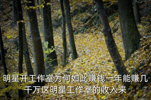 明星簽約公司怎么賺錢，唱片公司靠什么賺錢
