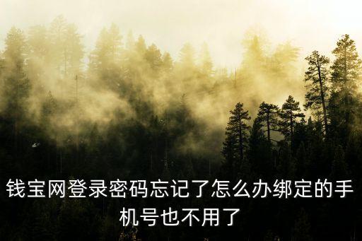 如果錢寶網用戶名忘了怎么辦，錢寶網登錄密碼忘記了怎么辦綁定的手機號也不用了