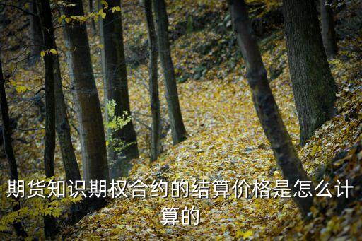 期權市場價是怎么，期權實值虛值平值行權價怎么定價的是根據(jù)現(xiàn)價定價的嗎