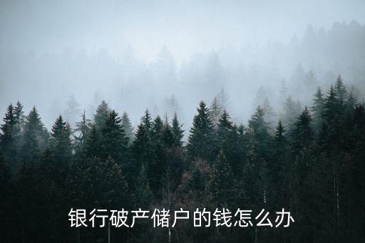 銀行破產(chǎn)儲戶的錢怎么辦