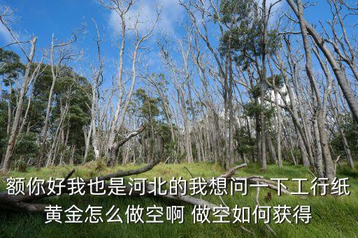 額你好我也是河北的我想問一下工行紙黃金怎么做空啊 做空如何獲得