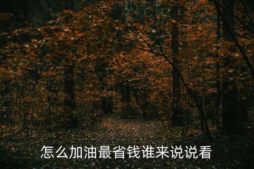 怎么加油最省錢誰(shuí)來(lái)說(shuō)說(shuō)看