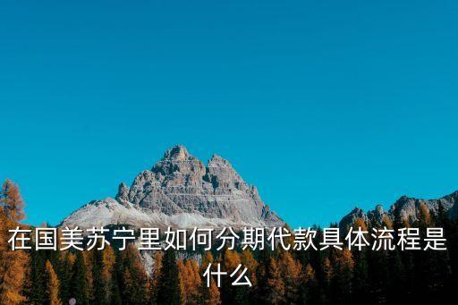 在國(guó)美蘇寧里如何分期代款具體流程是什么