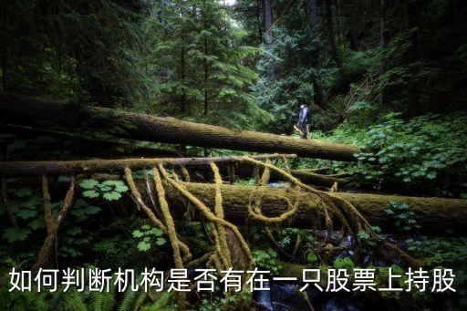 如何判斷機(jī)構(gòu)是否有在一只股票上持股