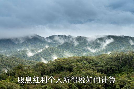 股息紅利個人所得稅如何計算