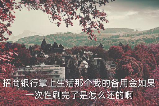 招商銀行掌上生活那個我的備用金如果一次性刷完了是怎么還的啊
