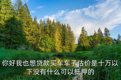 10萬左右的小車怎么辦按揭，你好我也想貸款買車車子估價(jià)是十萬以下沒有什么可以抵押的