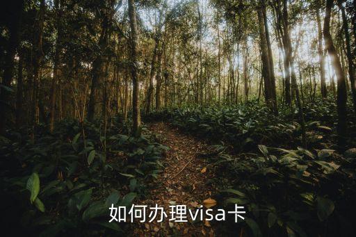 visa卡怎么辦加急，VISA卡怎么辦理