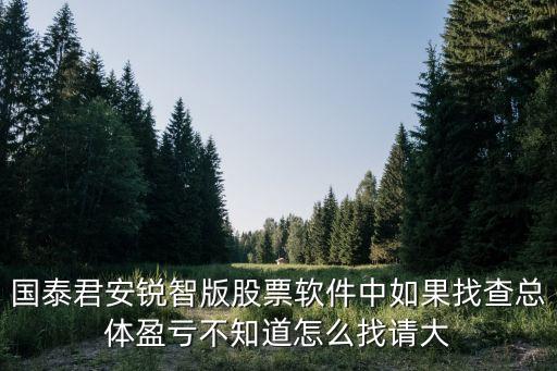 國泰君安銳智版股票軟件中如果找查總體盈虧不知道怎么找請大