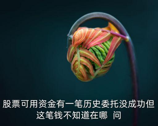 股票可用資金有一筆歷史委托沒成功但這筆錢不知道在哪  問