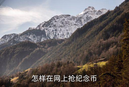 怎樣在網上搶紀念幣