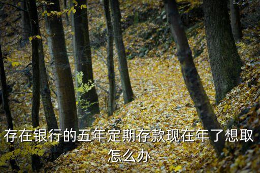 存在銀行的五年定期存款現(xiàn)在年了想取怎么辦