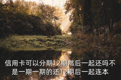 信用卡可以分期12期然后一起還嗎不是一期一期的還12期后一起連本