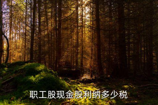 現(xiàn)金股利所得稅怎么算，職工股現(xiàn)金股利納多少稅