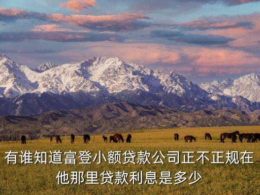 有誰知道富登小額貸款公司正不正規(guī)在他那里貸款利息是多少