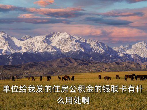 公積金聯(lián)名卡怎么用，那位能人知道公積金聯(lián)名卡有年費嗎信用卡怎么用是先透支再還錢