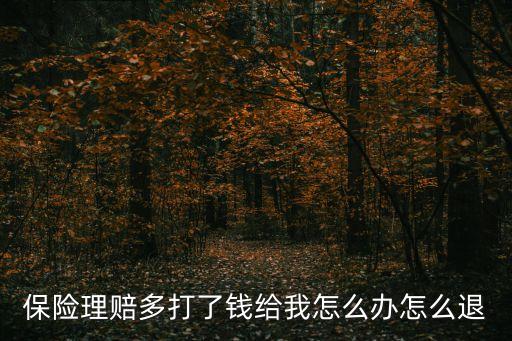保險(xiǎn)理賠多打了錢給我怎么辦怎么退