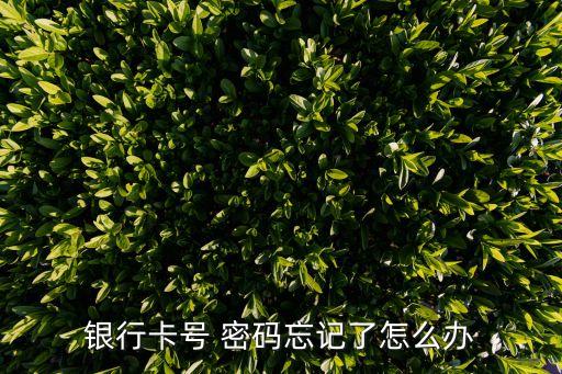 知道銀行卡號(hào)與密碼忘了怎么辦，忘記銀行卡密碼怎么辦